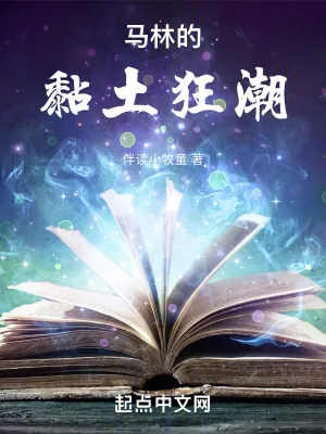 《马林的黏土狂潮》小说封面