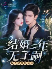 《结婚三年无子嗣？嫁大佬多胎多宝》小说封面