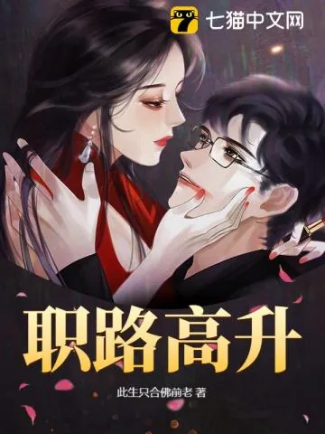 《职路高升》小说封面