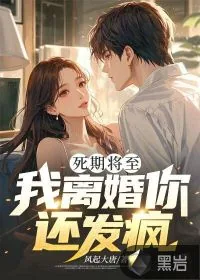 《死期将至，我离婚你还发疯？》小说封面