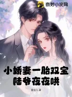《小娇妻一胎双宝，陆爷夜夜哄！》小说封面