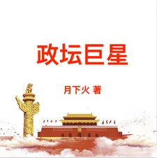 《政坛巨星》小说封面