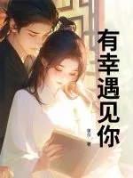 《有幸遇见你》小说封面