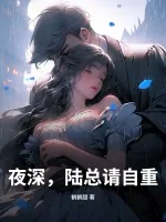 《夜深，陆总请自重》小说封面