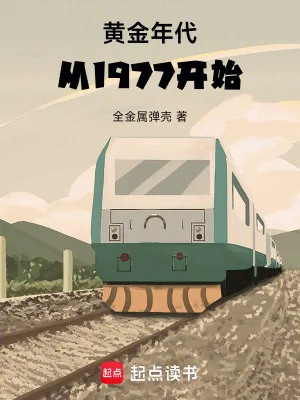 《黄金年代从1977开始》小说封面