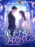 《兔子不吃窝边草，可盛总是狼啊！》小说封面