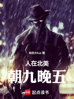 《人在北美，朝九晚五》小说封面