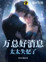 《万总好消息，太太失忆了》小说封面