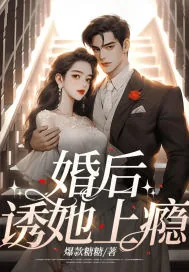 《婚后，诱她上瘾》小说封面