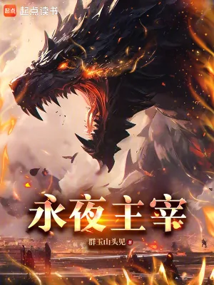 《永夜主宰》小说封面