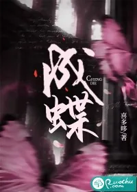 《成蝶》小说封面