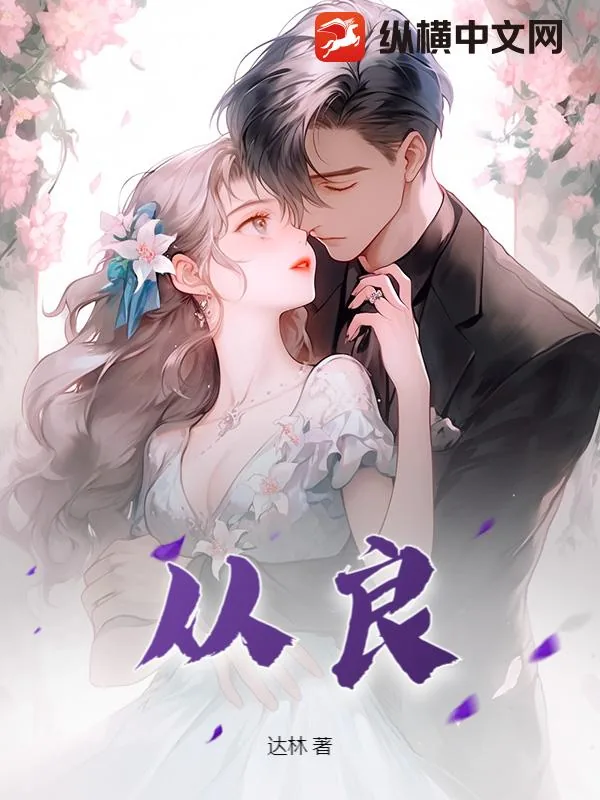 《从良》小说封面