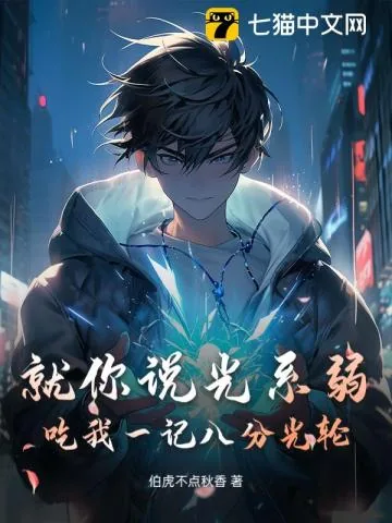 《就你说光系弱？吃我一记八分光轮！》小说封面