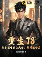 《重生78：弟弟顶替我上大学，开局就分家！》小说封面