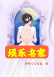 《娱乐名家》小说封面