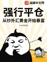 《强行平仓：从炒外汇黄金开始暴富》小说封面