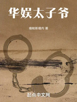 《华娱太子爷！》小说封面