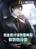 《我走后才说我是真爱，你哭也没用》小说封面