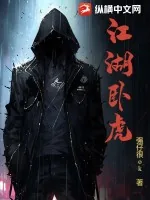 《江湖卧虎》小说封面