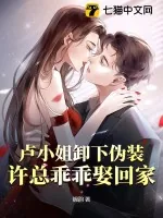 《卢小姐卸下伪装,许总乖乖娶回家》小说封面