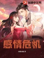 《感情危机》小说封面