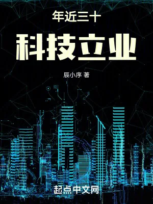 《年近三十,科技立业》小说封面