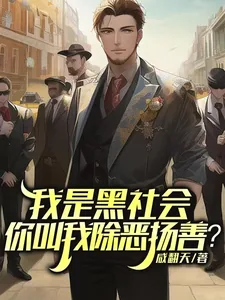 《我是黑社会，你叫我除恶扬善？》小说封面