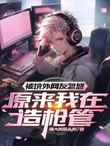 《被境外网友忽悠,原来我在造枪管》小说封面