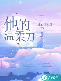 《他的温柔刀》小说封面