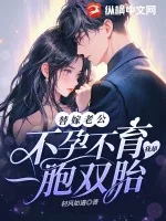 《替嫁老公不孕不育,我却一胞双胎!》小说封面
