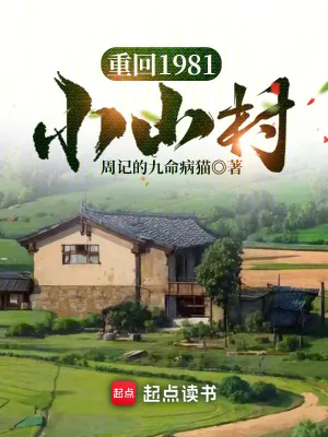 《重回1981小山村》小说封面