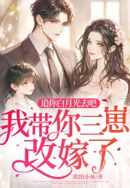《追你白月光去吧,我带你三崽改嫁了!》小说封面