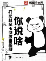 《你说啥!开局林黛玉倒拔垂杨柳?》小说封面