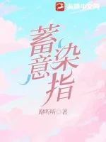 《蓄意染指》小说封面