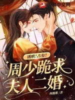 《诱哄!占有!周少跪求夫人二婚!》小说封面