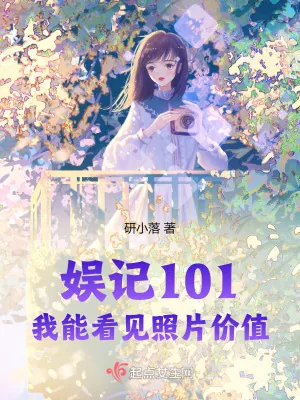 《娱记101：我能看见照片价值》小说封面