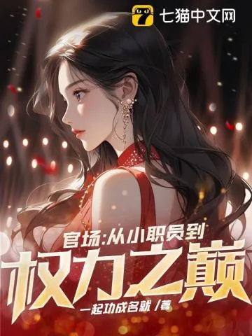 《官场：从小职员到权力之巅》小说封面