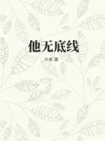 《他无底线》小说封面