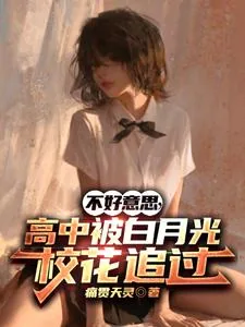 《不好意思，高中被白月光校花追过》小说封面