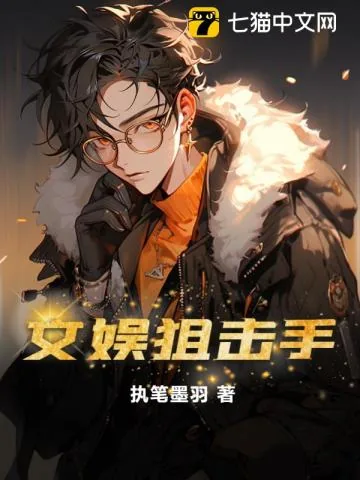 《文娱狙击手》小说封面