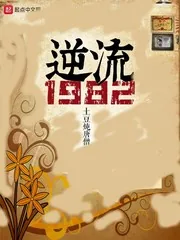 《逆流1982》小说封面