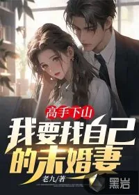 《高手下山：我要找自己的未婚妻》小说封面