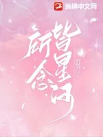 《所念皆星河》小说封面