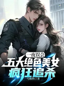 《一夜误会，五大绝色美女疯狂追杀》小说封面