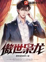 《傲世枭龙》小说封面