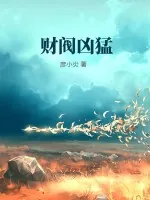 《财阀凶猛》小说封面