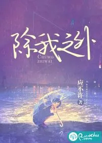 《除我之外》小说封面