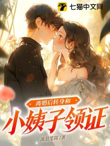《离婚后转身和小姨子领证》小说封面