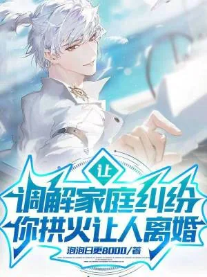 《让调解家庭纠纷，你拱火让人离婚》小说封面