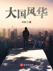 《大国风华》小说封面